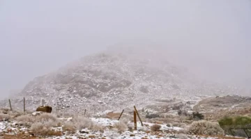 تغير مناخي تاريخي.. الثلوج تغطي أحياء الرياض في مشهد لم يحدث منذ عقود